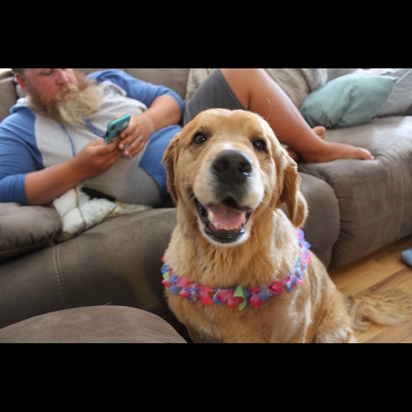 Meet your Posher, Kate - Picture 5 of 8